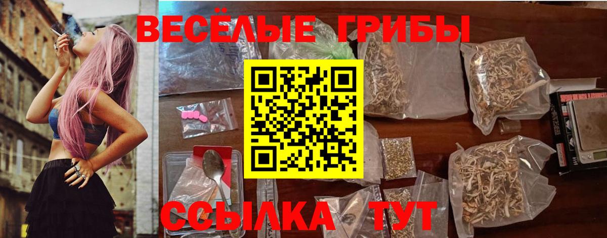 Галлюциногенные грибы GOLDEN TEACHER  Вход с VPN  Псилоцибиновые грибы Cubensis  Южно-Сахалинск 