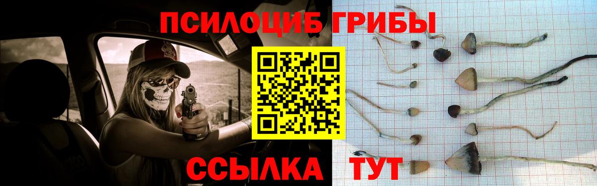 Галлюциногенные грибы GOLDEN TEACHER Южно-Сахалинск